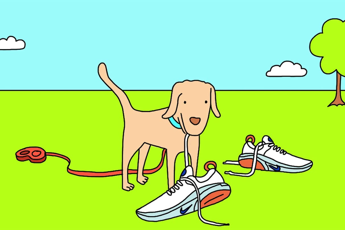 8 Tipps für das Laufen mit deinem Hund. Nike LU